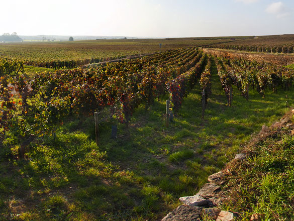 Appellation Charmes-Chambertin