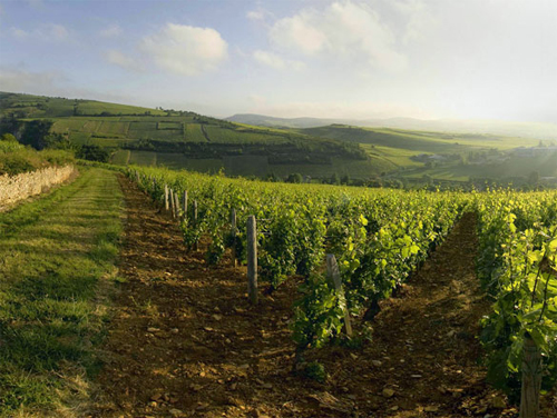 Appellation Saint Véran