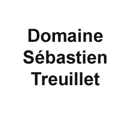 Sébastien Treuillet