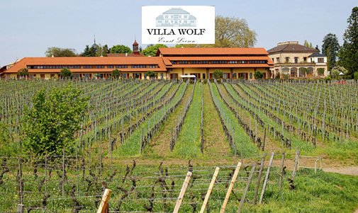 Villa Wolf